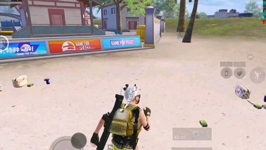 和平精英辅助【北极熊容器直装】稳定防封 人物透视 射线方框 锁死自瞄 名字昵称 人数距离 高清绘制 人机显示